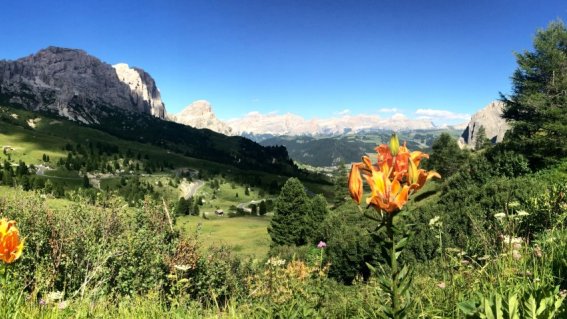 Dolomiten Höhenweg 2 - Blick aufs  Grödner Joch