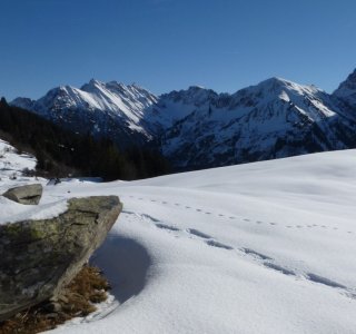 Skitourenkurs Allgäuer Alpen-Panorama2