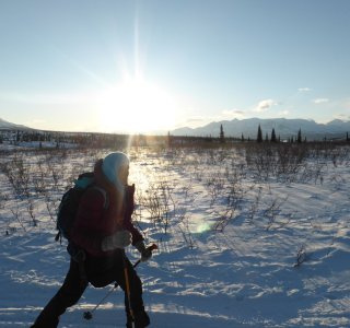 Schneeschuhtouren in den Weiten Alaskas