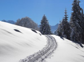 Schneeschuhspuren