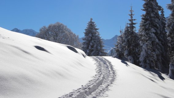 Schneeschuhtage in St. Antönien