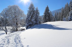 Unvergessliche Eindrücke im Schnee