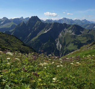 Panorama Allgäuer Alpen | © OASE alpin GmbH