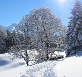Unberührte Winterlandschaft