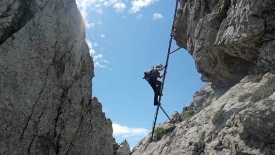 Die lange Leiter im Mittelteil des Hindelanger Klettersteiges