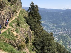 Meraner Höhenweg mit Blick auf Meran