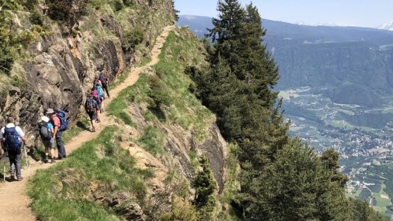 Meraner Höhenweg mit Blick auf Meran