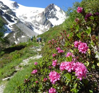 Aufstieg zum Col de la Seigne