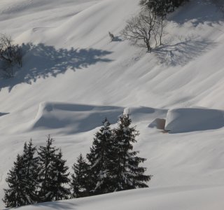 Schneeschuh-Tagestour Hochleite, zugeschneite Alphütten