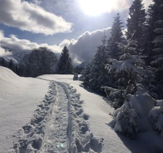 Schneeschuh-Tagestour Hochleite