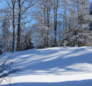 Schneeschuh-Tagestour Hochleite, Winterlandschaft