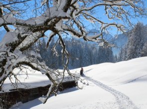 Aufstieg zur Hochleite