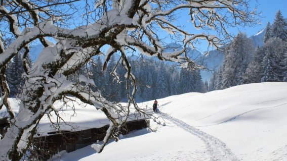 Aufstieg zur Hochleite