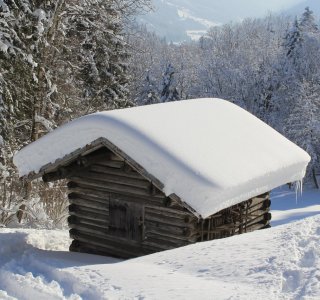 Schneeschuh-Tagestour Hochleite, Heustadel