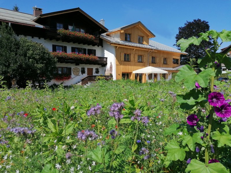 Blumenwiese 2021