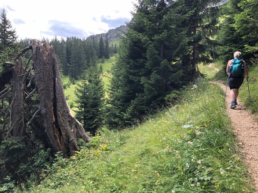 Auf dem Schmugglersteig zwischen Oberjoch und Schattwald