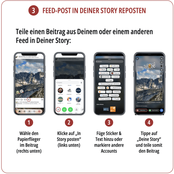 FEED-POST IN DEINER STORY REPOSTEN