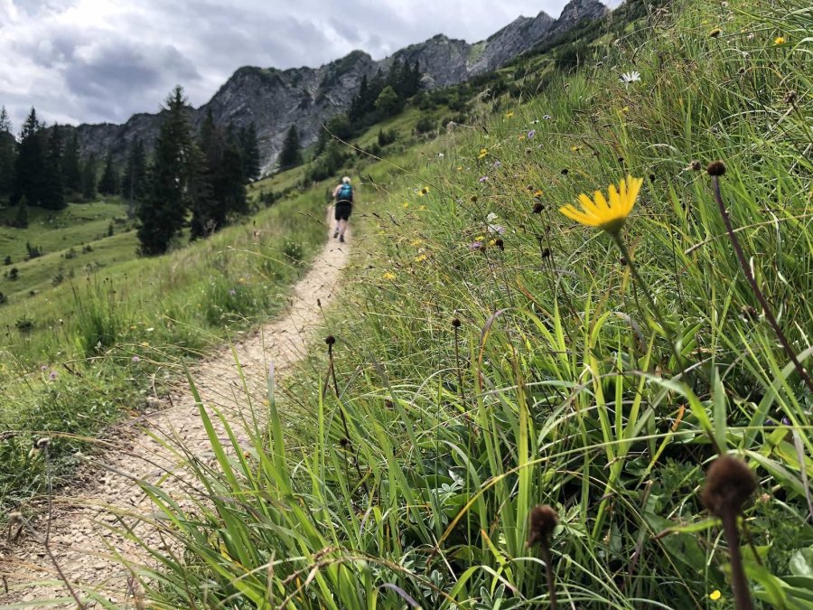 Wanderweg unterhalb des Iseler