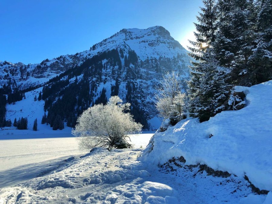 Der Vilsalpsee im Tannheimer Tal2