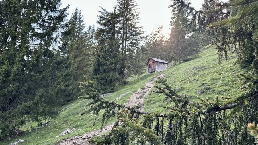 Eine Hütte steht auf einem Hügel zwischen hohen Bäumen. Der Himmel ist bewölkt und das Licht kommt von hinten.