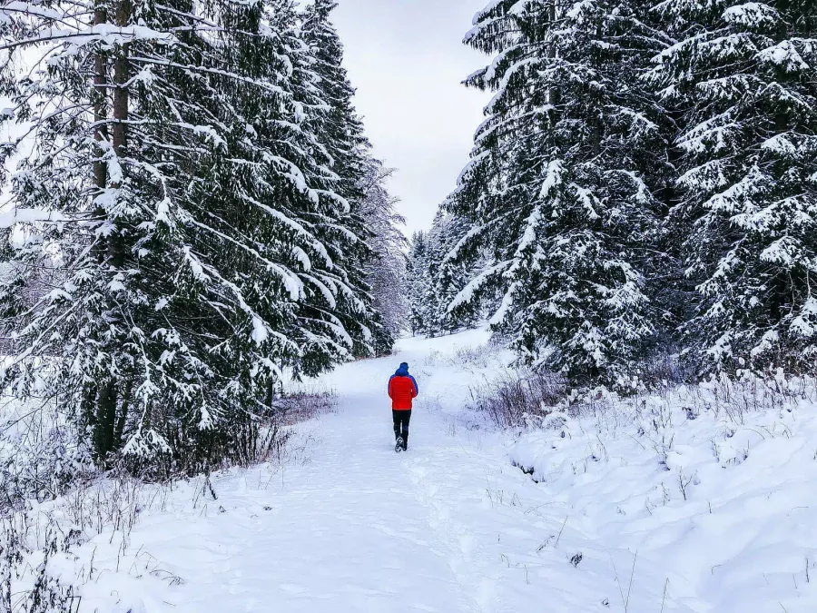 Ein Mensch geht auf einem verschneiten Weg durch den Wald. Die Bäume sind mit Schnee bedeckt. Es ist Winter.
