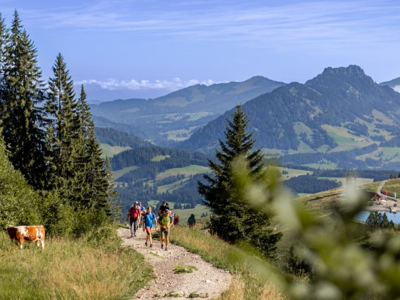 Edelrid 010
