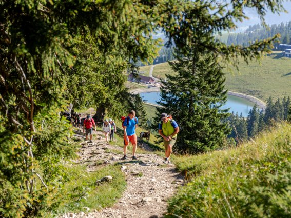 Edelrid 013