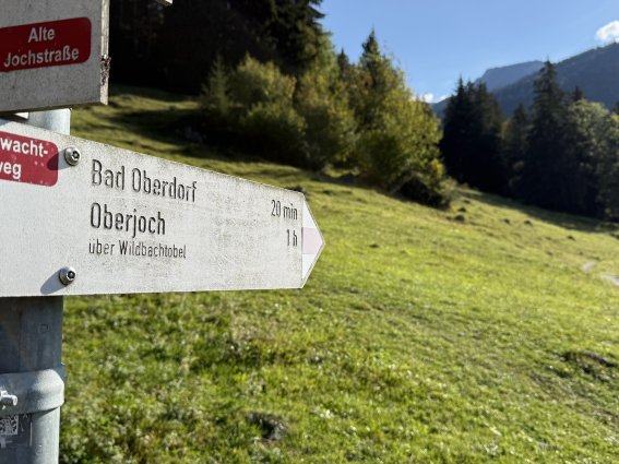 Wanderung durch den Wildbachtobel nach Oberjoch