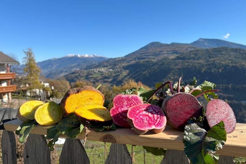 Gemüse Beete