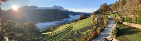 Hof Panorama Herbst