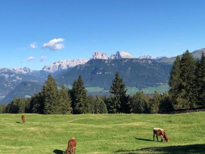 Alm Gipfel Panorama