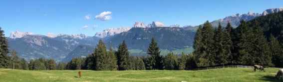 Alm Gipfel Panorama