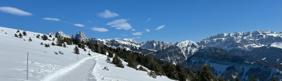 Panorama Winter Wandern