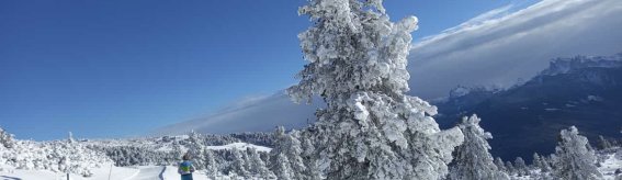 Panorama Winter Wandern Mama