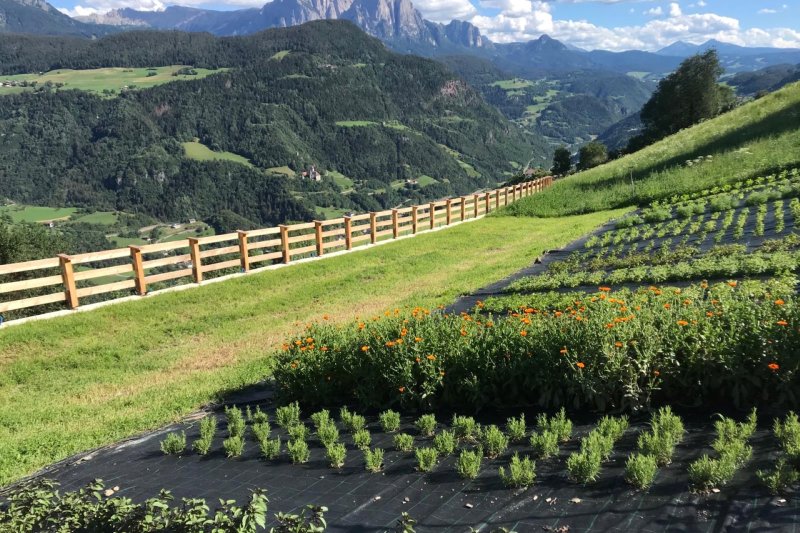 Kräutergarten unten