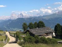 Alm Panorama