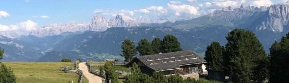 Alm Panorama