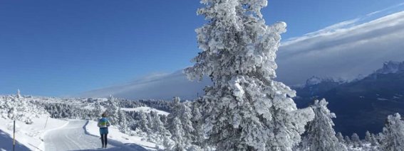 Winter Wandern Mama neu