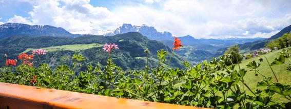 GM Balkon I