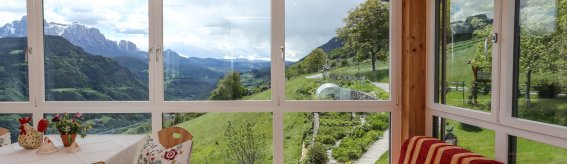 KK Aussicht Königskerze