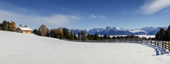 Alpenaussicht