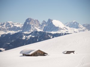 Alm Panorama Winter