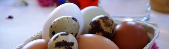 Frühstück Eier