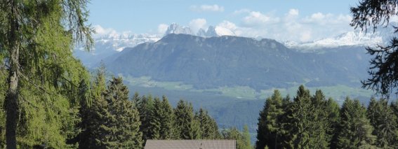 Alm Gipfel Panorama