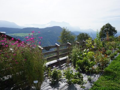 FNL Garten Panorama