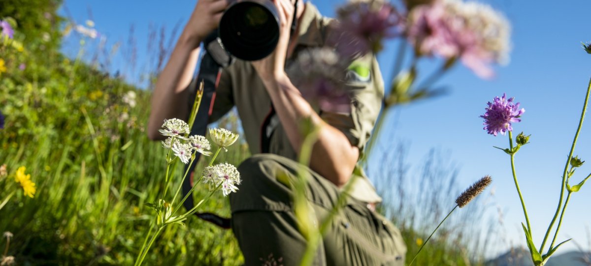 Blumenvielfalt im Naturpark Nagelfluhkette