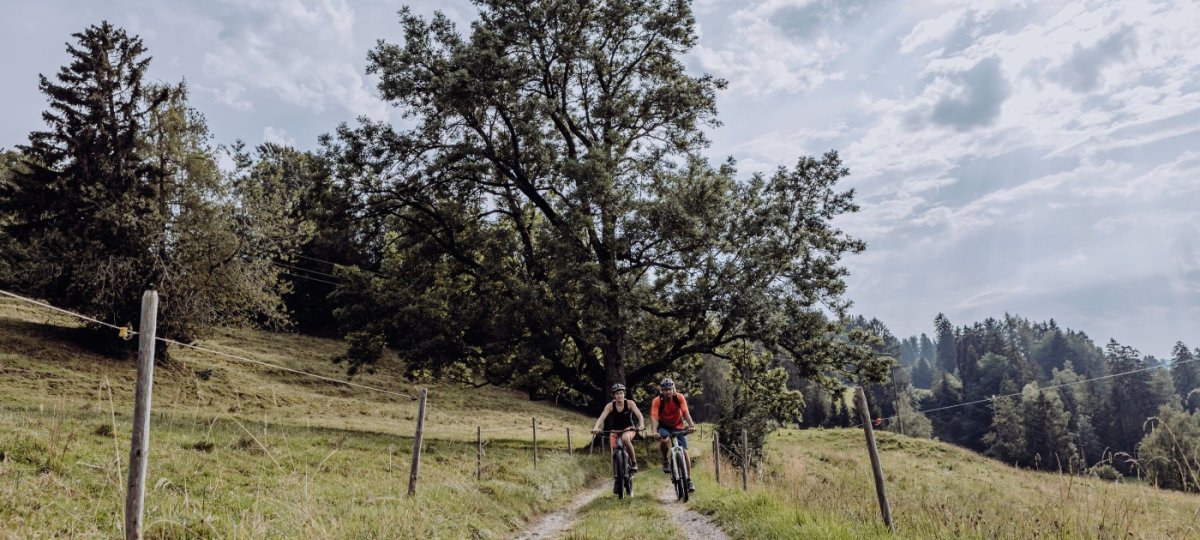 Naturbiken im Allgäu