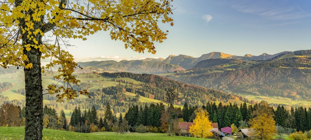 Herbst in Oberstaufen mit Ausblick auf die Nagelfluhkette