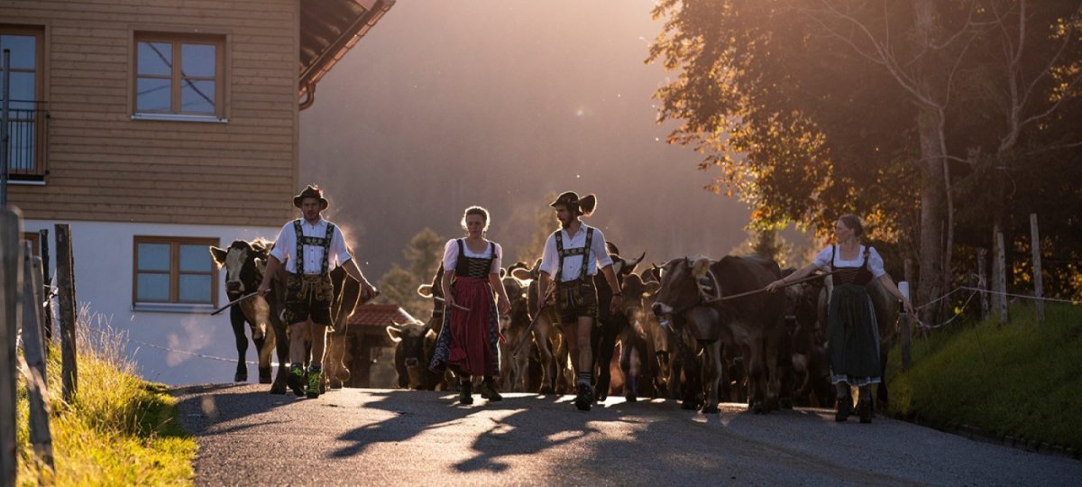 Viehscheid in Oberstaufen