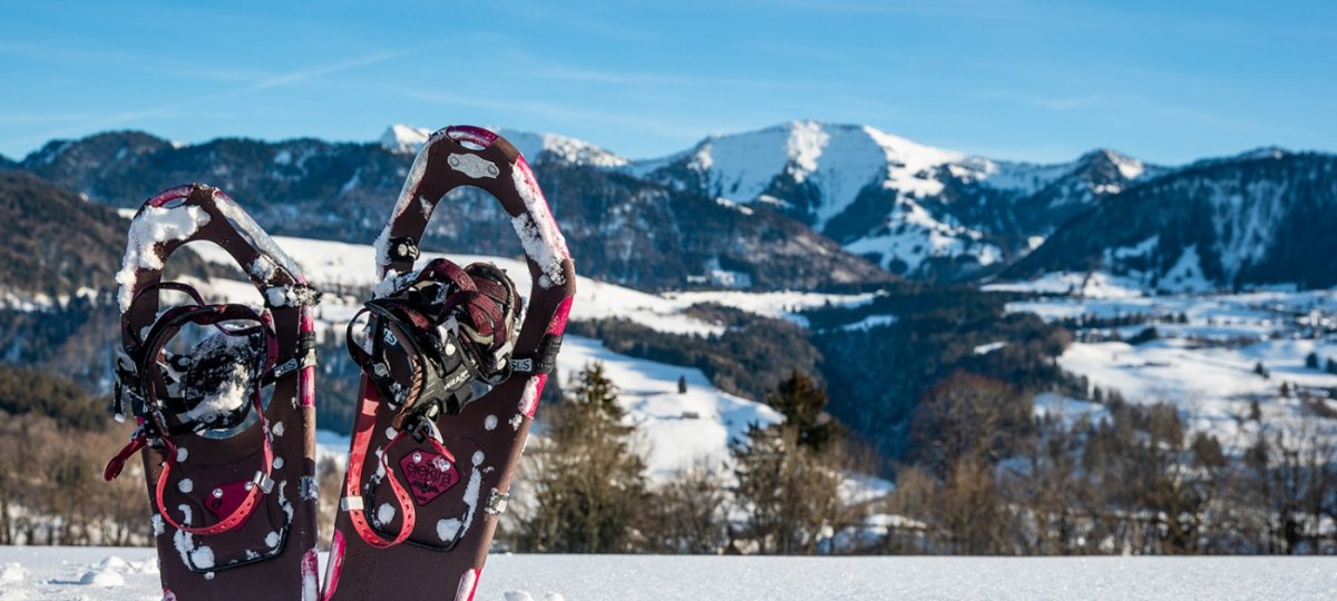 Schneeschuhwandern mit Ausblick